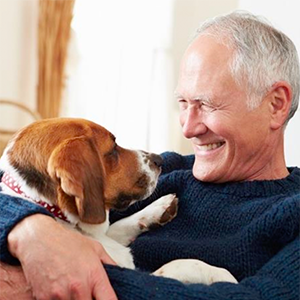 chiens d’assistance sur la vie des personnes présentant une démence légère